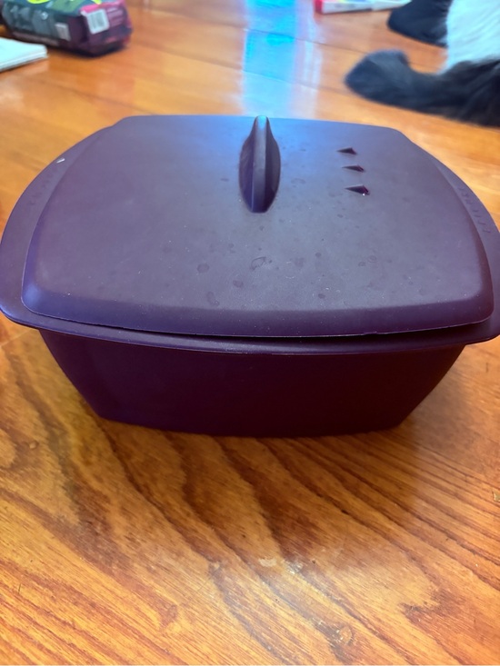 Epicure Other - Purple Microwave Steam & Serve Cooking Container with Lid